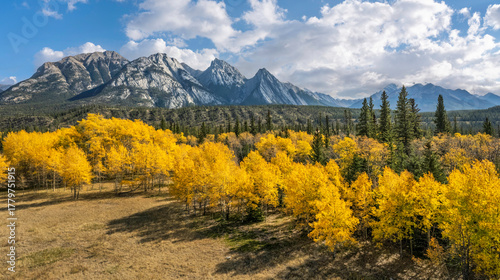 Kootenay Plains Ecological Preserve on the David Thompson Highway in Autumn