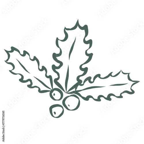 Holly Branch. Line Art Illustration.
