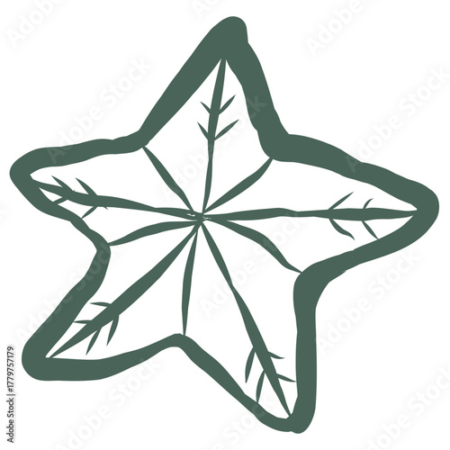 Christmas Star Cookie. Line Art Illustration.
