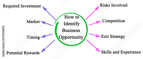 How to Identify Business Opportunity
