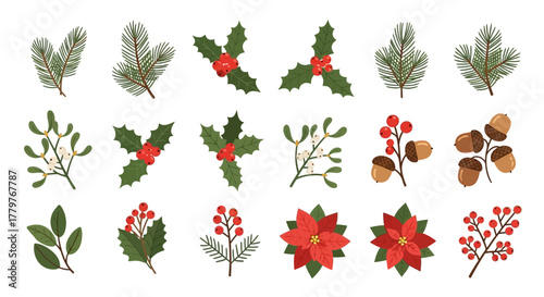 A festive collection of isolated traditional Christmas botanical elements. Vector illustration set featuring holly, pine, poinsettia, and mistletoe for holiday design
