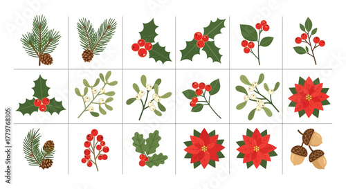 Festive winter botanical collection with holly, pine cones, poinsettia, and mistletoe illustrations set isolated on a white background