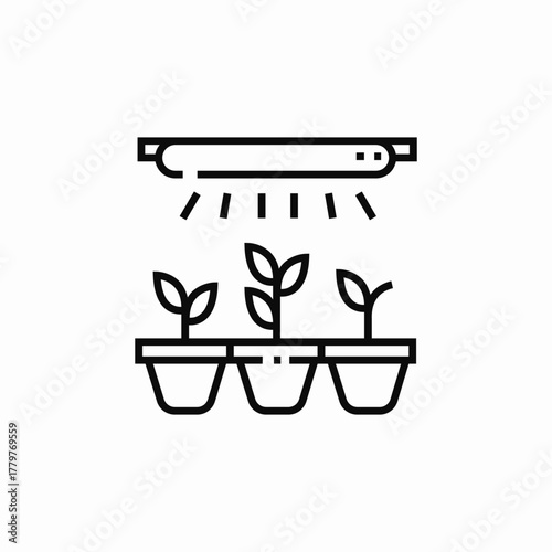 plant lighting icon sign vector