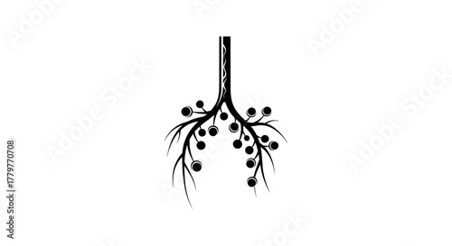 Stylized black and white illustration of a root system.
