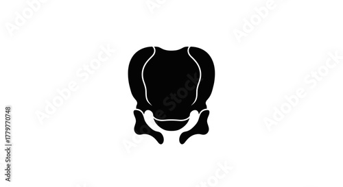 Silhouette of the human larynx a vital organ for speech and breathing.