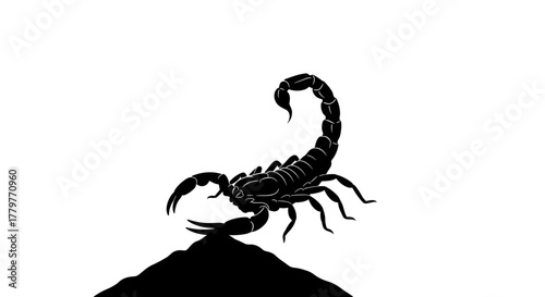 Black scorpion silhouette on a white background ready to strike.