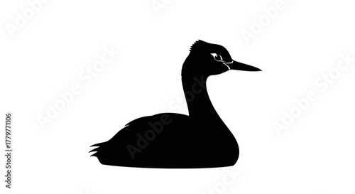 Silhouette of a swimming duck on a white background isolated and minimalist.