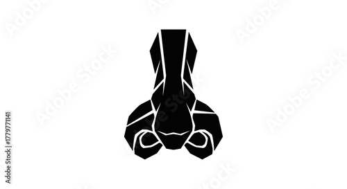 Human nose front view solid black glyph icon.