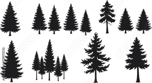 Evergreen tree silhouette set, pine and fir shapes, forest graphic design, nature element, black tree illustration, coniferous woodland icon