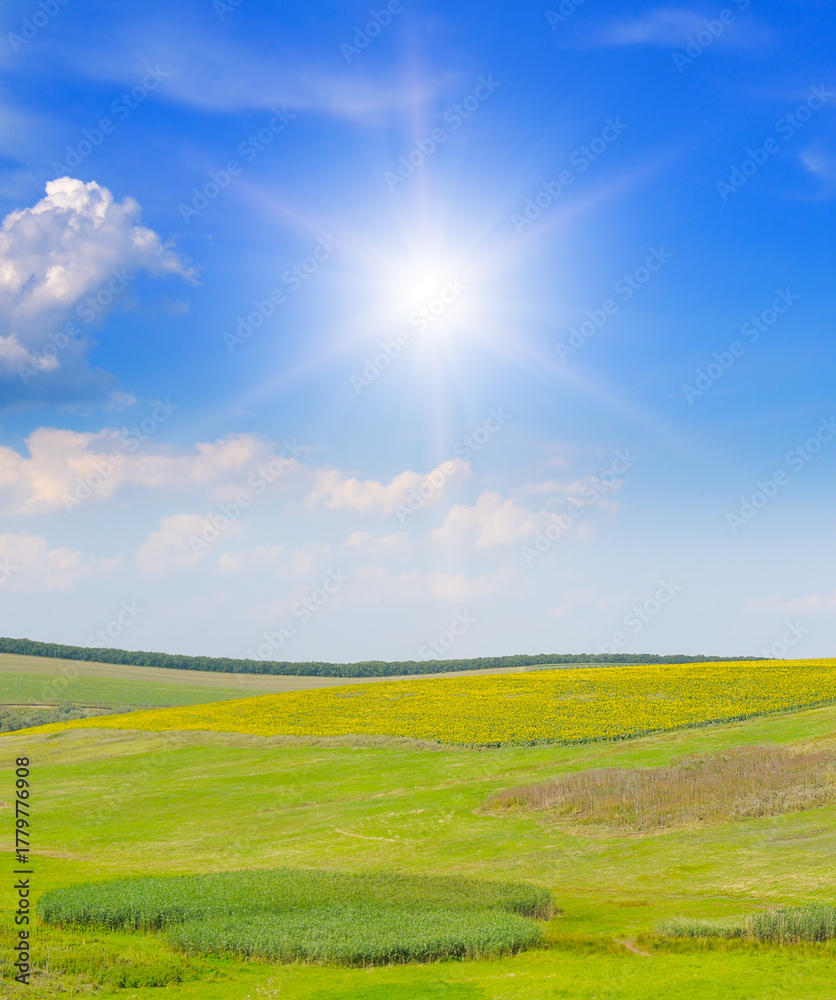 Obraz premium Vibrant Summer Landscape with Rolling Hills, Sunflower Field, and Bright Sunburst Sky