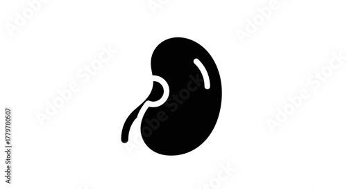 Kidney Icon A Simple Black and White Medical Illustration.