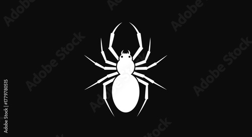 White Spider on Black Background.