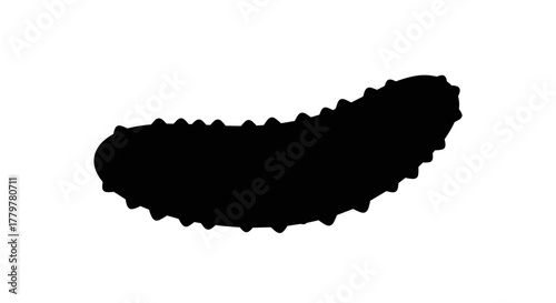 Black silhouette of a sea cucumber on a white background.