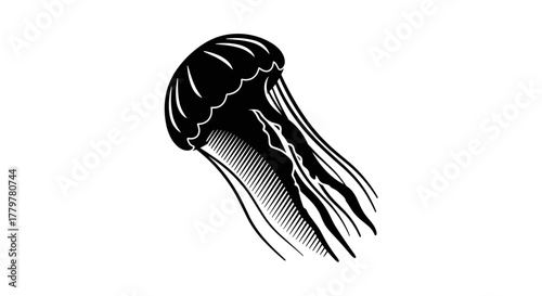 Monochrome Jellyfish Illustration A Detailed Marine Life Depiction.