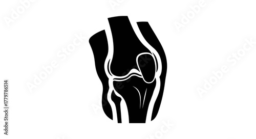 Knee Joint Anatomy Illustration for Medical Purposes.
