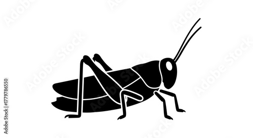 Black grasshopper silhouette on white background insect illustration.