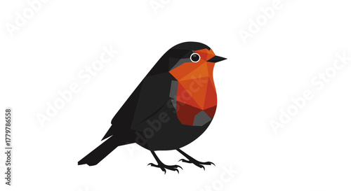 European robin bird with vibrant orange breast and black feathers.