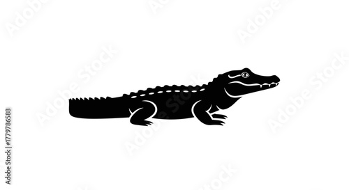 Silhouette of an Alligator on a White Background.