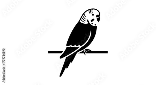 Silhouette of a Budgerigar Perched on a Branch.