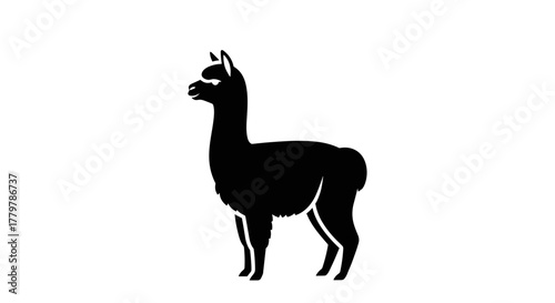 Silhouette of a Llama Standing on a White Background.