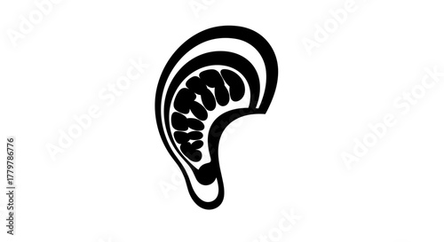 Stylized Ear Illustration Anatomical Art in Black and White.