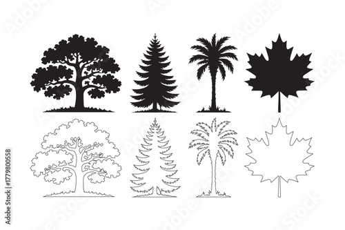Collection of silhouettes and line drawings of various trees