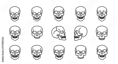 Collection of 15 thin line skull icons, presented in an outline style on a black background, showcasing various angles and details of human skulls, perfect for graphic design, web elements, app