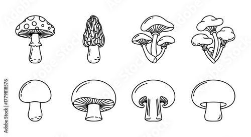Collection of simple, isolated line icons representing various types of mushrooms, including a spotted toadstool, morel, and clusters of button mushrooms, suitable for web, books, cards, and apps