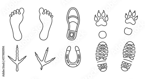 Collection of thin line footprint icons, including human feet, dog paws, bird claws, boot prints, and a horseshoe, presented as outline signs for graphic and web design, apps, adverts, and various