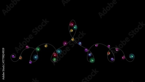 Floral Crown Party Lights Loop Transparent