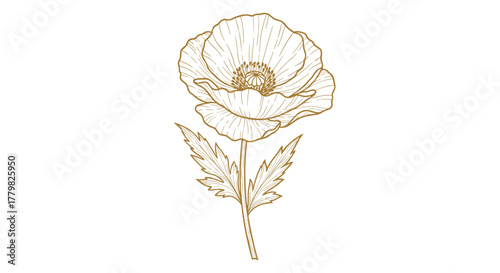 Elegant Gold Line Art Poppy Flower Vector Illustration on White Background, Hand-Drawn Botanical Design, Luxury Natural Decoration Element, Minimalist Floral Art for Graphic Design and Branding