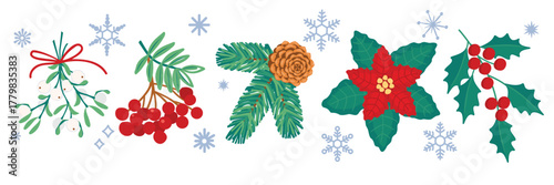 Christmas plant and snowflakes set for decorations. Mistletoe, rowan, pine needles with a cone, poinsettia and holly. Cartoon objects isolated on white background. Vector botanical design.
