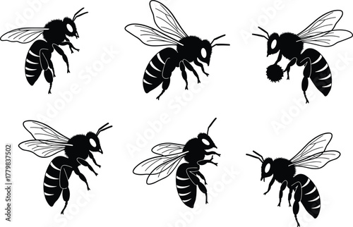 Bee silhouette vector illustration set, insect wildlife design, pollinator tattoo art, mascot, logo, decorative nature graphic element collection