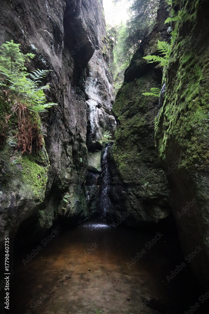 Obraz premium Moss-covered rocky ravine with waterfall flowing through canyon. Lush ferns frame dark stone walls. Serene woodland gorge capturing wet landscape and geological stone formations.