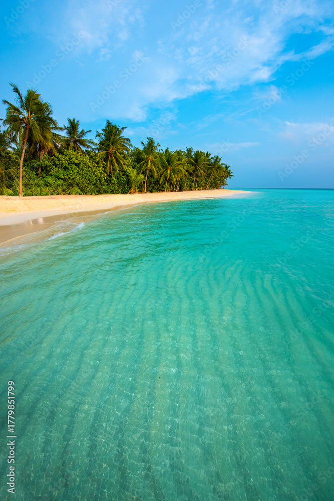 Fototapeta premium Tropical island beach landscape exotic shore coast. Tranquil closeup calm sea water waves with palm trees. Beautiful Panorama. Summer vacation, holiday amazing nature. Relax paradise, Maldives.