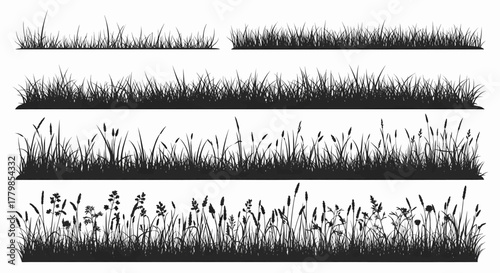 A diverse set of detailed grass and wildflower silhouettes, presented as a black and white vector illustration