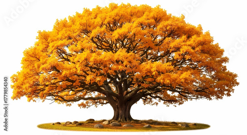 A single majestic tree with a dense crown of golden yellow leaves, an autumn concept vector illustration