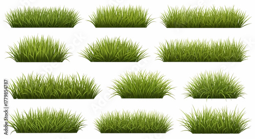 Set of realistic green grass tufts and lawn patches isolated on a white background, vector illustration
