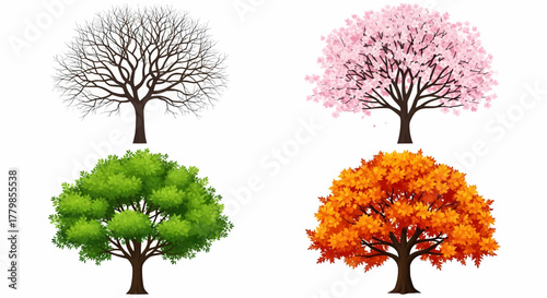 Vector illustration set showing four trees representing the different seasons winter, spring, summer, fall