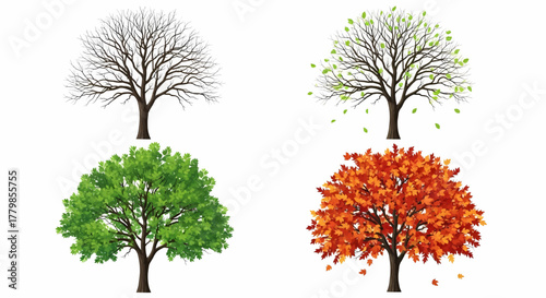The four seasons of nature depicted with a tree in winter, spring, summer, and autumn vector illustration