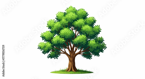 Lush green deciduous tree with a full canopy and sturdy brown trunk, isolated on white background vector illustration