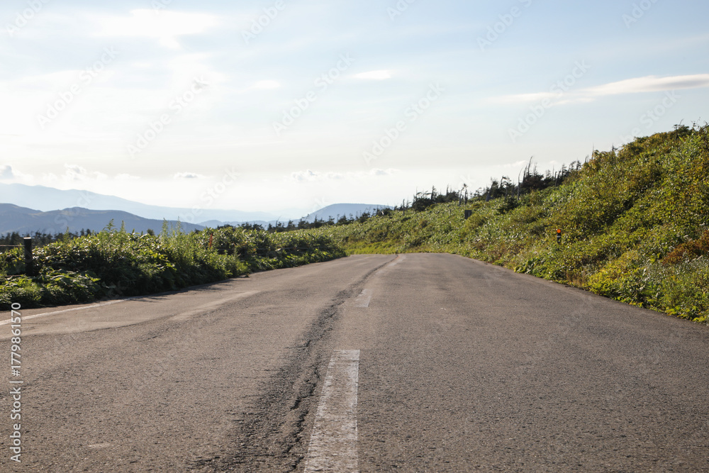 Fototapeta premium 自然の中の道