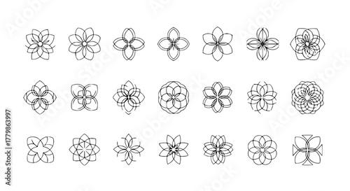 Modern minimalist flower icons for logos and branding, various petal counts and compositions