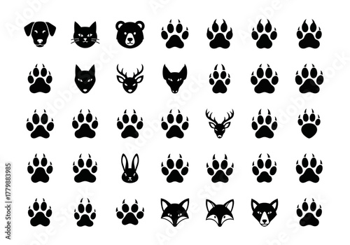 Vector icon set of wild animal tracks and head silhouettes. Includes dog, cat, bear, wolf, fox, deer, and rabbit paw prints