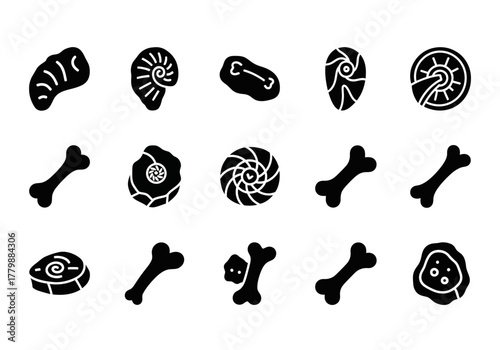 Collection of paleontology solid glyph icons. Set includes ancient fossils, dinosaur bones, ammonite shells, and archeology symbols