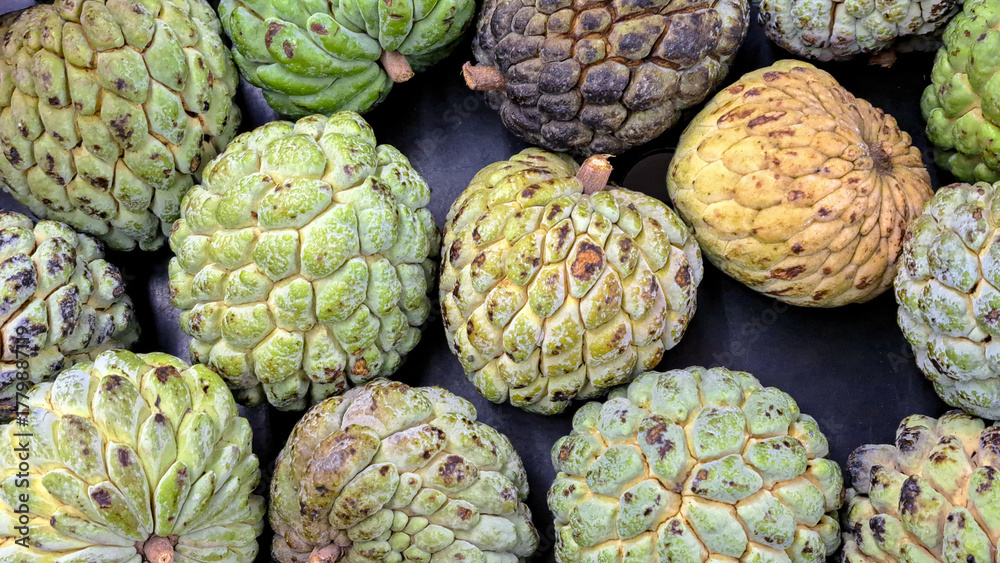 Fototapeta premium Fresh green and yellow cherimoya fruits arranged on a dark surface, showcasing their unique textured skin and natural colors, highlighting the beauty of tropical produce