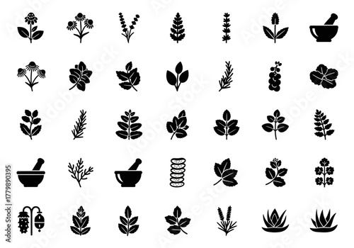 Herbalism and botany glyph icon set. A collection of minimalist symbols for medicinal plants, aromatherapy, and natural wellness
