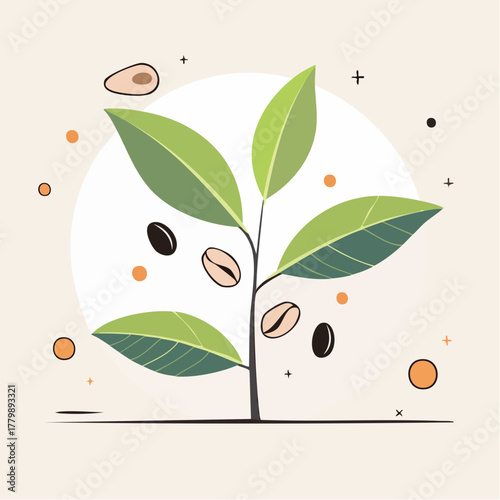 Green Coffee Plant With Beans Growing In A Circle On A Neutral Background With Orange Dots And Plus Signs