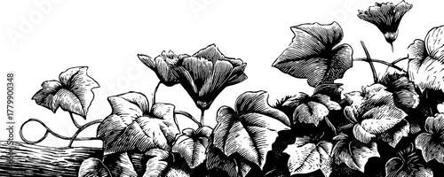 Decorative floral corner motif with leaf frame - hand drawn vintage design for cards and posters