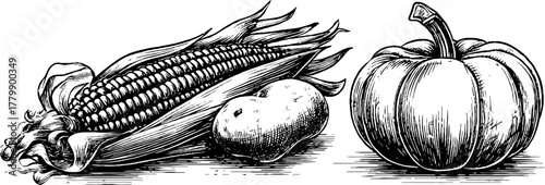 Vintage harvest theme with corn, pumpkin, and potato engraving style for fall decor